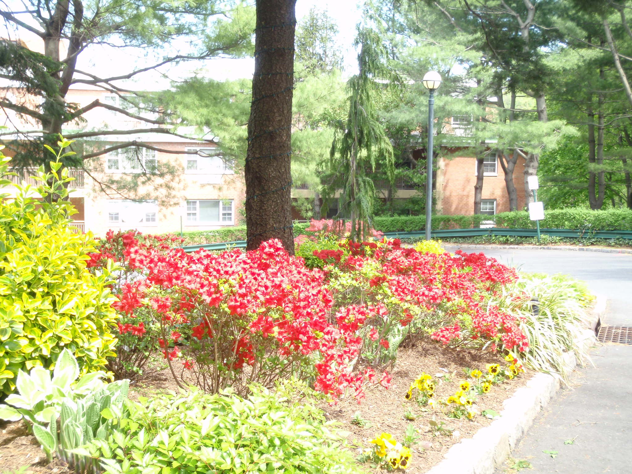Rich  Landscaping